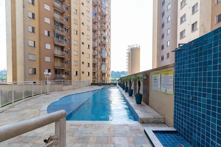 Área comum - Piscina de apartamento para alugar com 2 quartos, 52m² em Itaquera, São Paulo
