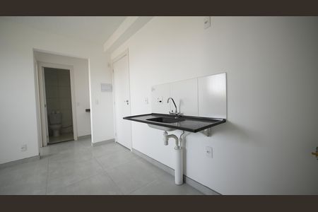 Cozinha de apartamento para alugar com 2 quartos, 35m² em Santa Maria, Santo André