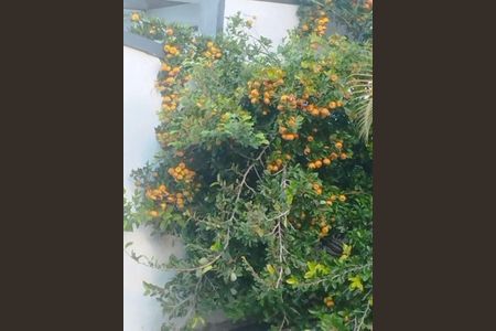 Casa à venda com 3 quartos, 400m² em Vila Galvão, Guarulhos