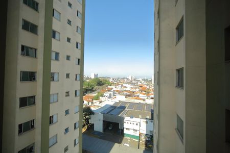 Apartamento à venda com 63m², 3 quartos e 1 vagaQuarto 3- Vista 