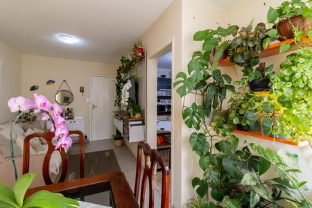 Sala de apartamento à venda com 2 quartos, 77m² em Jardim Flor da Montanha, Guarulhos