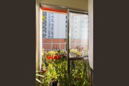 Sacada de apartamento à venda com 2 quartos, 77m² em Jardim Flor da Montanha, Guarulhos