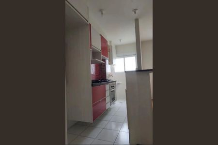 Foto 09 de apartamento para alugar com 1 quarto, 33m² em Cambuci, São Paulo