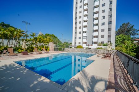 Apartamento para alugar com 70m², 3 quartos e 2 vagas Apartamento para alugar com 70m², 3 quartos e 2 vagasÁrea comum - Piscina