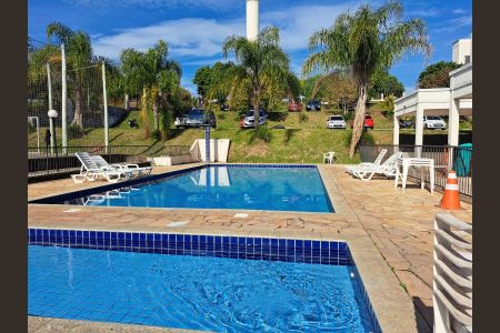 Área Comum - Piscina de apartamento para alugar com 2 quartos, 45m² em Jardim Dona Leopoldina, Porto Alegre