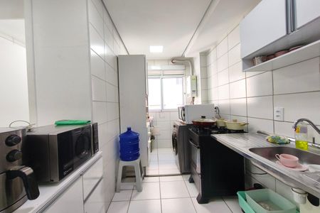 Cozinha de apartamento para alugar com 2 quartos, 44m² em Jardim do Lago Ii, Campinas