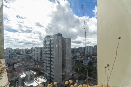 Vista da Cozinha de apartamento à venda com 4 quartos, 350m² em Nova Petrópolis, São Bernardo do Campo