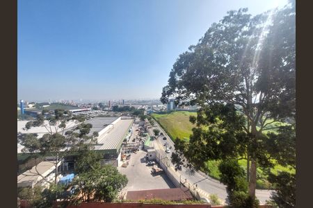 Vista do Quarto 1 de apartamento à venda com 3 quartos, 64m² em Cidade Ademar, São Paulo