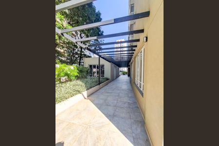 Área comum de apartamento para alugar com 1 quarto, 53m² em Vila Mascote, São Paulo