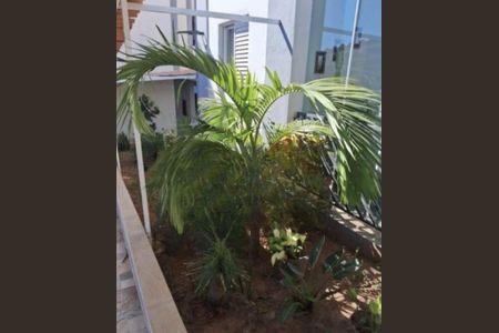 Foto 20 de apartamento para alugar com 3 quartos, 69m² em Vila Bela Vista, Santo André