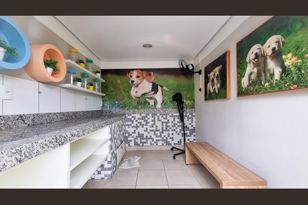 pet de apartamento para alugar com 2 quartos, 46m² em Jardim das Palmas, São Paulo