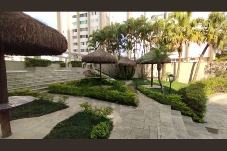 Apartamento à venda com 3 quartos, 74m² em Vila Sofia, São Paulo