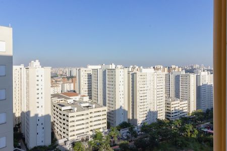 Apartamento para alugar com 44m², 2 quartos e 1 vaga Apartamento para alugar com 44m², 2 quartos e 1 vagaLavanderia Vista