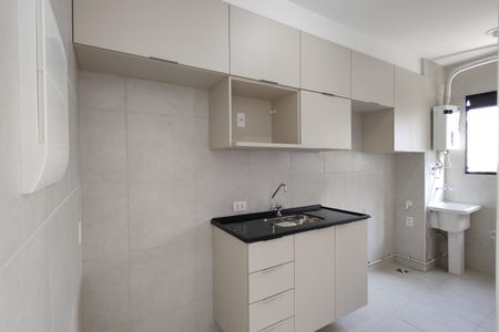 Apartamento para alugar com 46m², 2 quartos e sem vagaCozinha - Armários