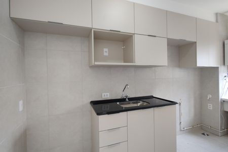 Apartamento para alugar com 46m², 2 quartos e sem vagaCozinha - Armários