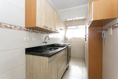Cozinha de apartamento para alugar com 3 quartos, 58m² em Vila Zilda, São Paulo