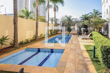 Área comum - Piscina de apartamento para alugar com 3 quartos, 63m² em Jardim Vila Formosa, São Paulo
