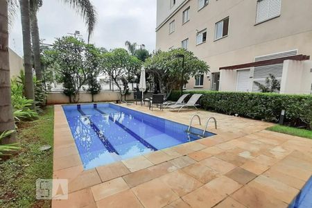 Área comum - Piscina de apartamento para alugar com 3 quartos, 63m² em Jardim Vila Formosa, São Paulo