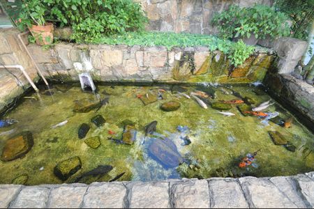 Apartamento à venda com 56m², 2 quartos e 1 vagaTanque de peixes