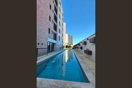 Área comum - Piscina de apartamento à venda com 4 quartos, 243m² em Jardim das Paineiras, Campinas