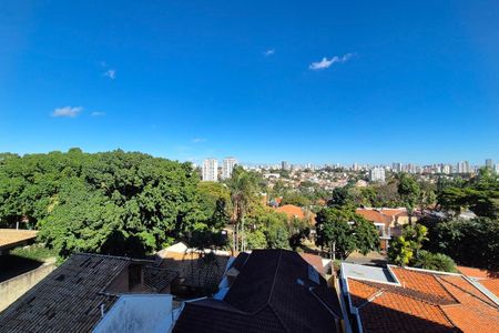 Vista da Suíte 3  de apartamento à venda com 4 quartos, 243m² em Jardim das Paineiras, Campinas