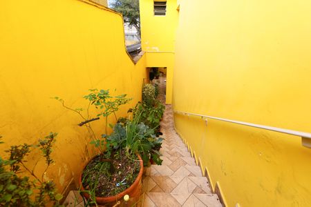 Área externa de casa à venda com 2 quartos, 250m² em Vila Franca, São Paulo