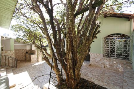 Casa à venda com 5 quartos, 300m² em Alto Caiçaras, Belo Horizonte