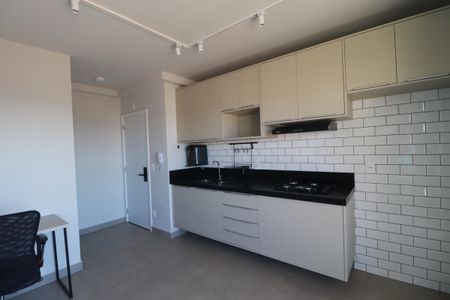 Sala/Cozinha de apartamento para alugar com 1 quarto, 46m² em Subsetor Leste - 6 (l-6), Ribeirão Preto