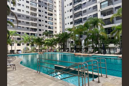 Área comum - Piscina 2 de apartamento para alugar com 2 quartos, 78m² em Continental, Osasco