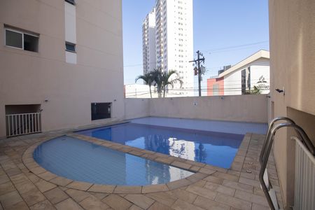 Área comum - Piscina de apartamento para alugar com 2 quartos, 54m² em Parada Inglesa, São Paulo