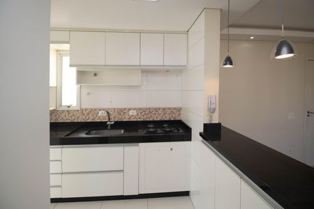 Cozinha  de apartamento para alugar com 2 quartos, 54m² em Parada Inglesa, São Paulo