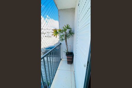 Sacada de casa de condomínio para alugar com 2 quartos, 49m² em Bairro Jardim Nossa Senhora das Graças, Cotia