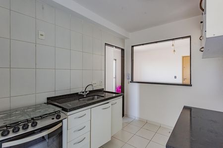 Cozinha de apartamento para alugar com 2 quartos, 48m² em Vila Liviero, São Paulo