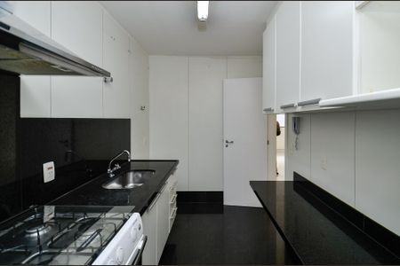 Cozinha de apartamento para alugar com 3 quartos, 88m² em Lourdes, Belo Horizonte