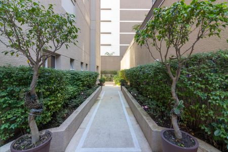 Área comum de apartamento para alugar com 3 quartos, 151m² em Planalto Paulista, São Paulo