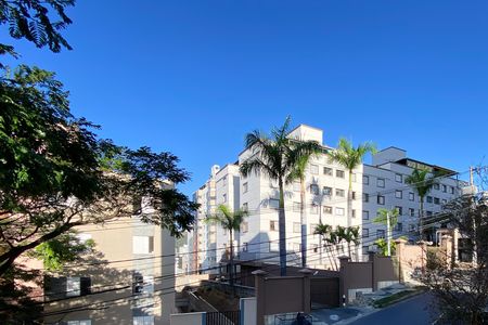 Vista da Suite 1 de apartamento à venda com 3 quartos, 100m² em Buritis, Belo Horizonte