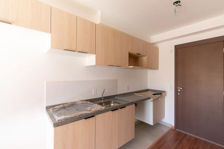 Cozinha de kitnet/studio para alugar com 1 quarto, 24m² em Ipiranga, São Paulo