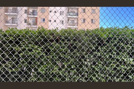 Apartamento à venda com 3 quartos, 74m² em Jardim Myrian Moreira da Costa, Campinas