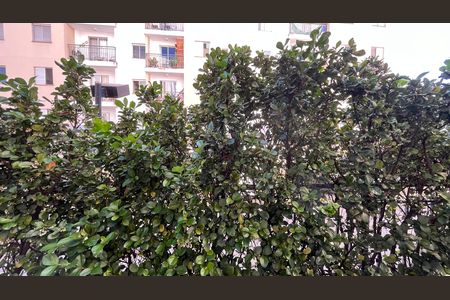 Apartamento à venda com 74m², 3 quartos e 1 vaga