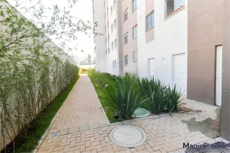 Apartamento à venda com 3 quartos, 66m² em Vila Andrade, São Paulo