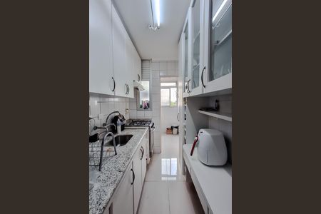 Cozinha de apartamento para alugar com 3 quartos, 64m² em Vila Mariana, São Paulo