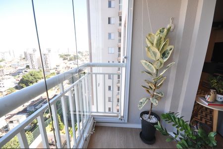 Apartamento à venda com 63m², 2 quartos e 1 vagaSacada da Sala
