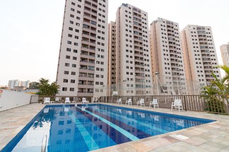 Área comum - Piscina de apartamento para alugar com 3 quartos, 67m² em Vila Pedro Moreira, Guarulhos