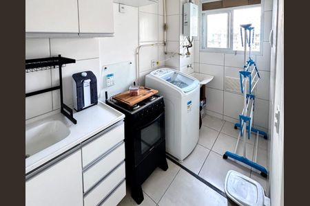 Cozinha de apartamento para alugar com 2 quartos, 48m² em Santo Cristo, Rio de Janeiro