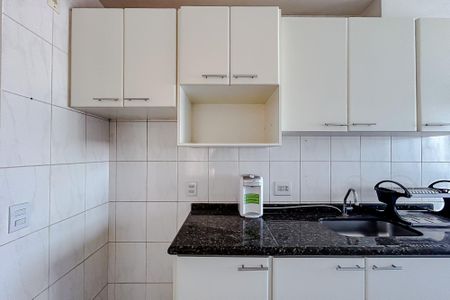 Cozinha - Armários de apartamento para alugar com 2 quartos, 50m² em Vila Guilhermina, São Paulo