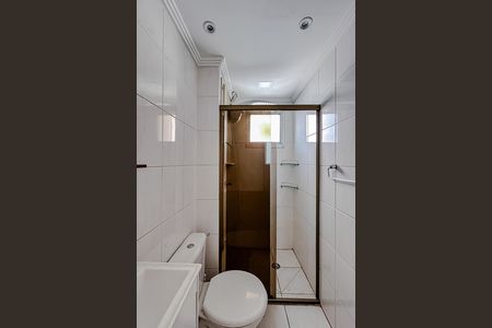 Banheiro de apartamento para alugar com 2 quartos, 50m² em Vila Guilhermina, São Paulo