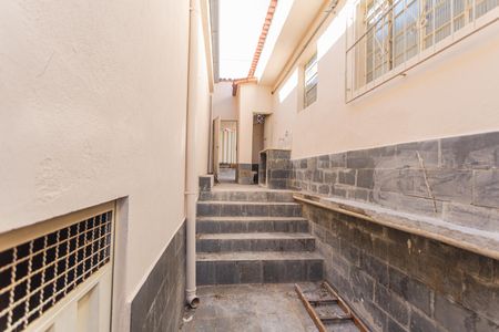 Acesso ao Quintal de casa para alugar com 2 quartos, 200m² em Esplanada, Belo Horizonte
