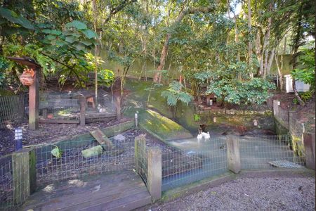 Apartamento para alugar com 80m², 2 quartos e 1 vagaLagoa com patos