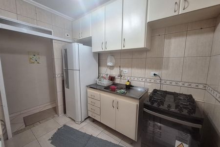 Cozinha de apartamento para alugar com 2 quartos, 55m² em Jardim do Estádio, Santo André