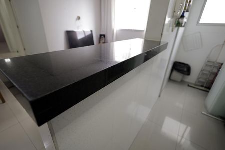Cozinha de apartamento à venda com 2 quartos, 49m² em Vila Homero Thon, Santo André